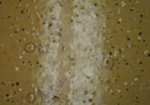 Concrete Floor Coatings Forensics Case History — Part 1, Field Investigation Phase