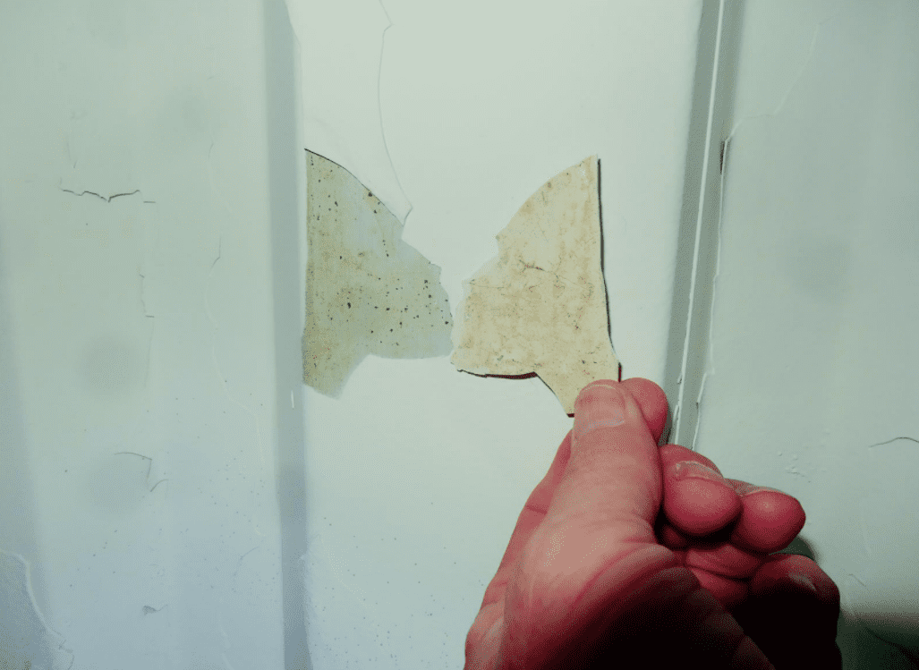 Dry Fall Coatings Application and Testing KTATator