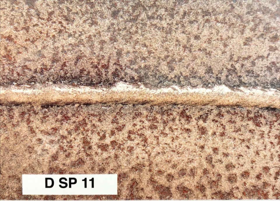 D SP 11